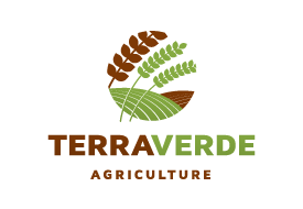 terraverde-ag logo